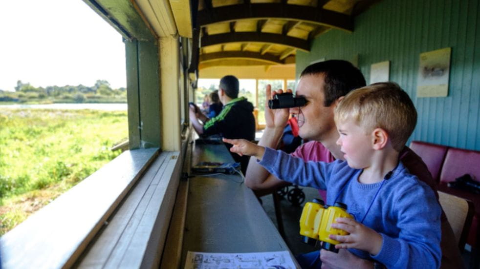 Father and son in a bird hide